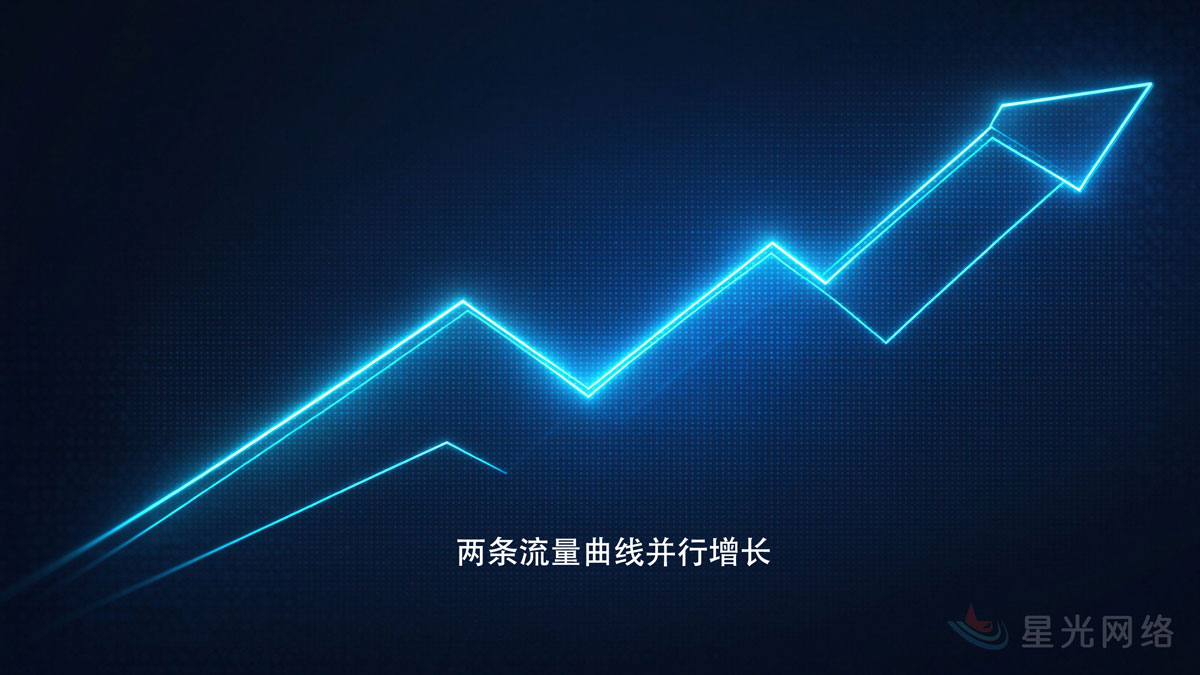 两条流量曲线并行增长
