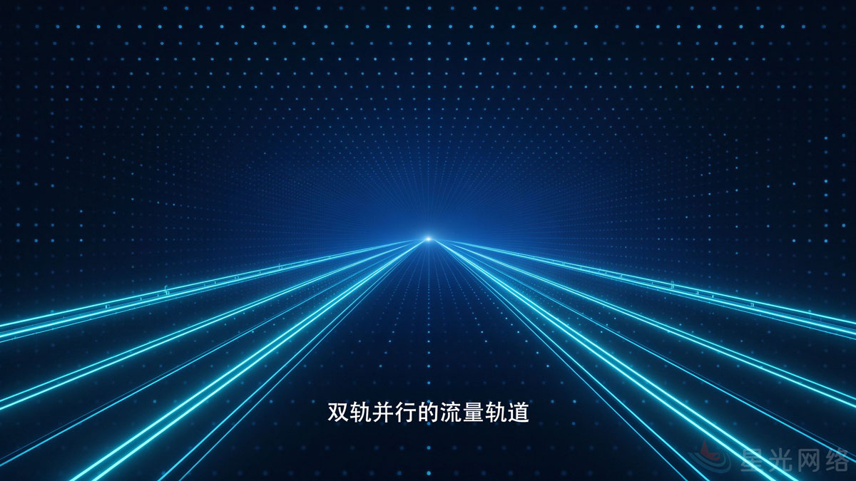 双轨并行的流量轨道